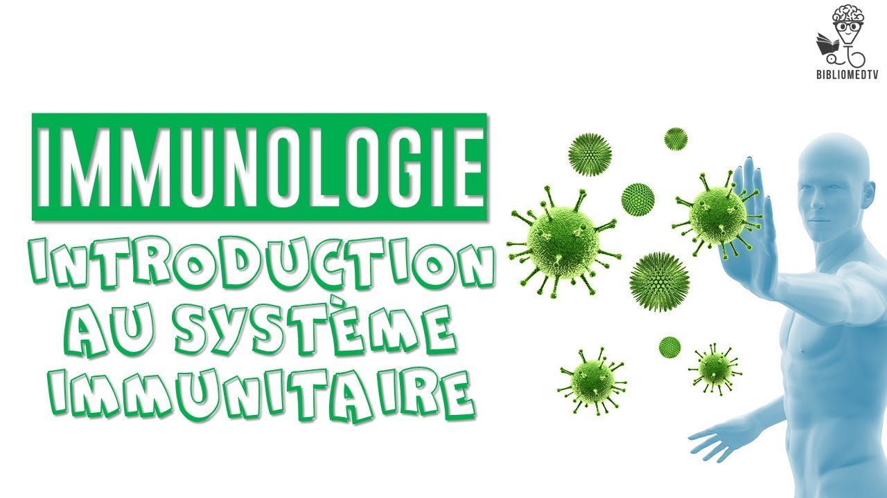 Immunologie - Introduction Au Système Immunitaire - YouTube