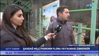 AzTV - Şahdağ Milli Parkının zəngin flora və faunası