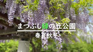 まつぶし緑の丘公園【四季】