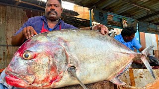 KASIMEDU 🔥 SPEED SELVAM | 31 KG GIANTS TREVALLY FISH CUTTING VIDEO | IN KASIMEDU | FF CUTTING 🔪