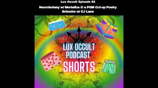 Lux Occult SHORTS: Luxa Strata on Chaos Magic and Accelerationism