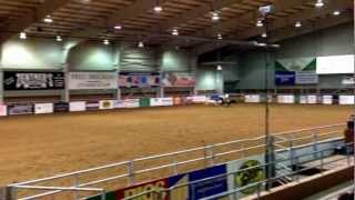 Cow work Nrcha Open Two Rein Prellim. Justin Wright showing. Finals on Thursday.