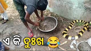 ଏ କି ଦୁଃଖ 😂 new odia vlogs natia comedy  farmer Village  new funny vlog jts picnic feast year happy