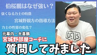 宮城野部屋の内情！？元幕内・大喜鵬さんに全てを聞いてみた！【前編】