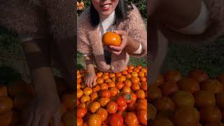 Beautiful Nature - Inspur Fresh Fruit wonderful video of Industry #9512