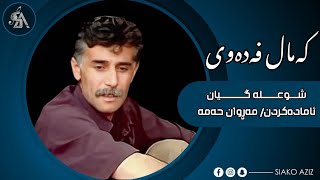 کەمال فەدەوی- شوعلە گیان/ kamal fadawy- shu3la gyan