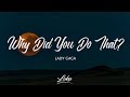 Lady Gaga - Why Did You Do That? (Lyrics)