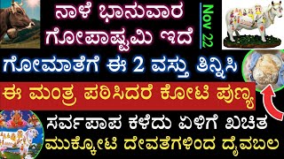 ನಾಳೆ ಗೋಪಾಷ್ಟಮಿ ಇದೆ ಗೋವಿಗೆ ಈ 2 ವಸ್ತು ತಿನ್ನಿಸಿ ಈ ಮಂತ್ರ ಹೇಳಿದರೆ ಕೋಟಿ ಪುಣ್ಯ ಕಷ್ಟಗಳು ಕಳೆಯುತ್ತೆ Gopastami