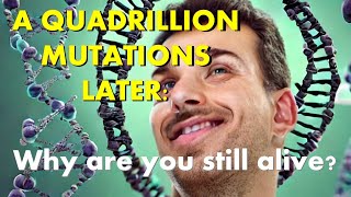 A Quadrillion Mutations Later: Why Are You Still Alive? A Response to Genetic Entropy