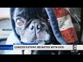 Cancer patient reunited with dog