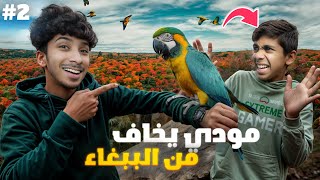 علمت الببغاء على الرقص | شنو قررنا نسمي 😂 @حيدر_علي