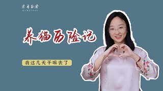 這幾天發生的奇妙故事：溪柴火軟蠻氈暖，我與狸奴不出門