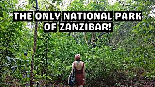 Why you shouldn't skip Jozani Forest in Zanzibar 🇹🇿