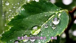 至聖恩主 (粵語) - 角聲使團