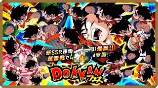 【ドッカンバトル #1994】○○が虹に！？少年悟空フェスおかわり！！【ドッカンフェス Dokkan Battle】