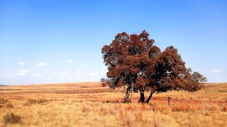 15km Hike at Ezemvelo Nature Reserve - June 2021