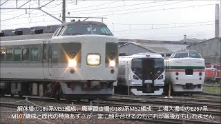 最後の189系 N102編成 歴代特急あずさ車両と顔合わせ　臨時特急かいじ186号運用に回送される！2018.6.16 JR長野総合車両センター　光panasd 901