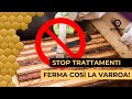 Addio alla Chimica: Come Sconfiggere la Varroa SENZA Trattamenti Chimici