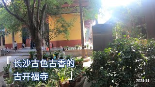 2410CS: 廉价的服装市场, 古色古香的市中心寺庙