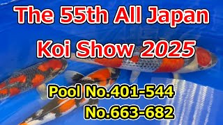 THE 55th ALL JAPAN CONBINED NISHIKIGOI SHOW 2025【Part3】