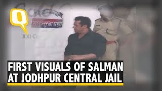 Salman Khan Arrives At Jodhpur Central Jail After Conviction in Blackbuck Case | The Quint