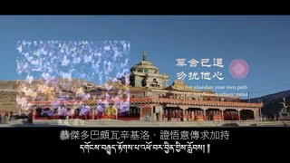 寧靜的加持力・上師祈禱文 བླ་མའི་གསོལ་འདེབས། 佛曲 Live HD