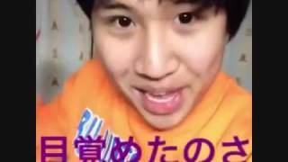 【バイン 面白い】こいつ天才かｗ吹いたら負けのまりも厳選６秒動画[マリモ,MARIMO。,vine]【Twitterで話題のおもしろ動画】