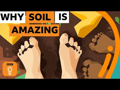 What is soil and its uses?