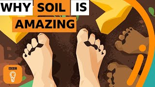 Why soil is one of the most amazing things on Earth | BBC Ideas