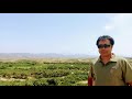 ওয়াদি বেইশ জিজান ও নাজরান ট্যুর ১ wadi baish jizan u0026 najran tour 1 rediscovering arabia