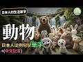 【動物篇】日本人的生活單字 #2：例句帶你學常用單字！#日本生活單字 | Ep.207