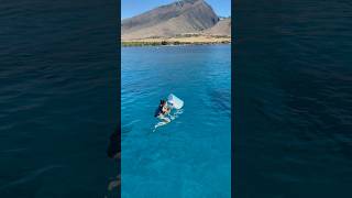 We never imagined that we would take our son snorkeling in the ocean at such a young age🏝️✨