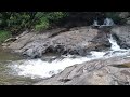 മാങ്കുളത്തേക്കൊരു Trip പോയാലോ🥳🥳||Kottapara,Tea Estate,Tiger cave,waterfalls😍