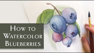 How To Watercolor Blueberries for Beginners
