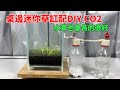 製作一個超簡單的桌邊迷你草缸，再配上DIY CO2，水草也會長的很好看|Three DIY CO2 reactors in aquarium