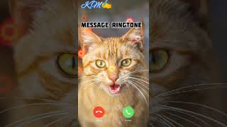 Best Tone Abe Yaar Ak Aur Message Tone __ SMS Ringtone #shorts video #smsringtone