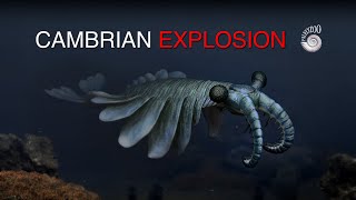 Cambrian Life