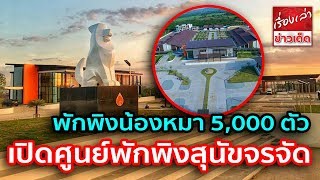 เปิดศูนย์พักพิงสุนัขจรจัด โคราช พักพิงน้องหมา 5,000 ตัว แก้ไขปัญหาโรคพิษสุนัขบ้า