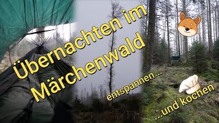 Entspannte Übernachtung im Märchenwald | Kochen im Wald