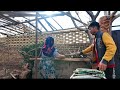 daily vlog 🇮🇷🇦🇫 tidying up the yard and delicious vegetable coco masoumeh beer 😍 rural food 😋