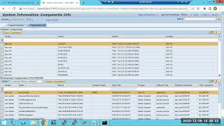 SAP NetWeaver JAVA COMPONENTS PATCHING USING TELNET TOOL