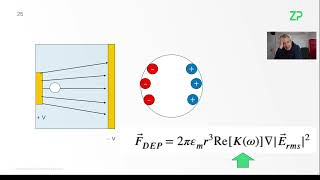 Dielectrophoretic Separation & Sorting Explained | Microfluidics & Particle Deflection