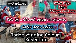 25 December 2024 Today Winning Colours// PVR Farming Channel//Kukkuta Sastram