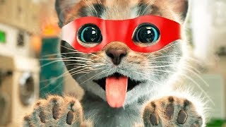 Mascota Juegos de Cuidado - Gatos Aventuras - Jugar Gatito Juegos para Niños