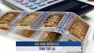 BIẾN ĐỘNG VÀNG ngày 8/1: Giá vàng miếng SJC tăng trở lại