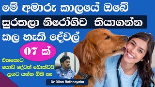 මේ අමාරු කාලයේ සුරතලා නිරෝගීව තියාගන්න අනිවාරෙන්  ඔබ කල යුතු දේවල්