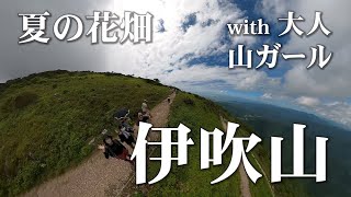 【伊吹山】夏の花畑！with 大人山ガール♪「アラカンぼっちの山歩き♪」百名山