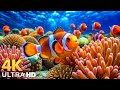 The Best 4K Aquarium - Dive Into The Mesmerizing Underwater Realm, Sea Jellyfish, Coral Reefs #2