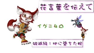 白猫プロジェクト：花言葉を伝えて「破滅級」４凸イグニソロ