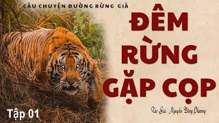 [Rất Hay] Chuyện Kể Người Đi Săn Bắn Ở Rừng Núi: ĐÊM RỪNG GẶP CỌP | Nguyễn Đông Phương | Kênh Cô Vân